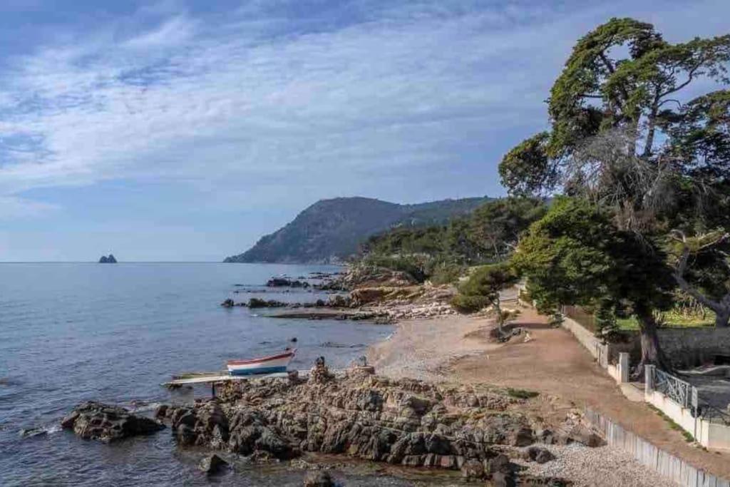 Le Criotto Lägenhet La Seyne-sur-Mer Exteriör bild